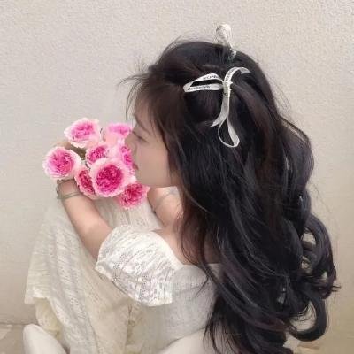 贝尔戈维亚丑闻